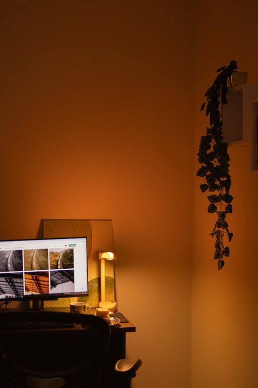 Tips for Creating a Cozy and Productive Home Office Environment